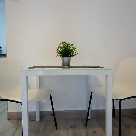 Picasso With Swimming Pool And Parking In The Center! Apartment